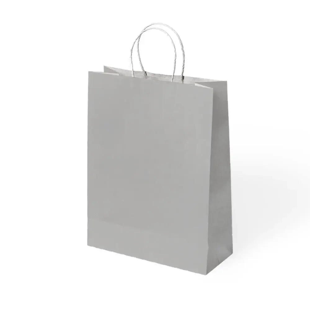 Gümüş Büküm Saplı Kraft Çanta 25x31cm