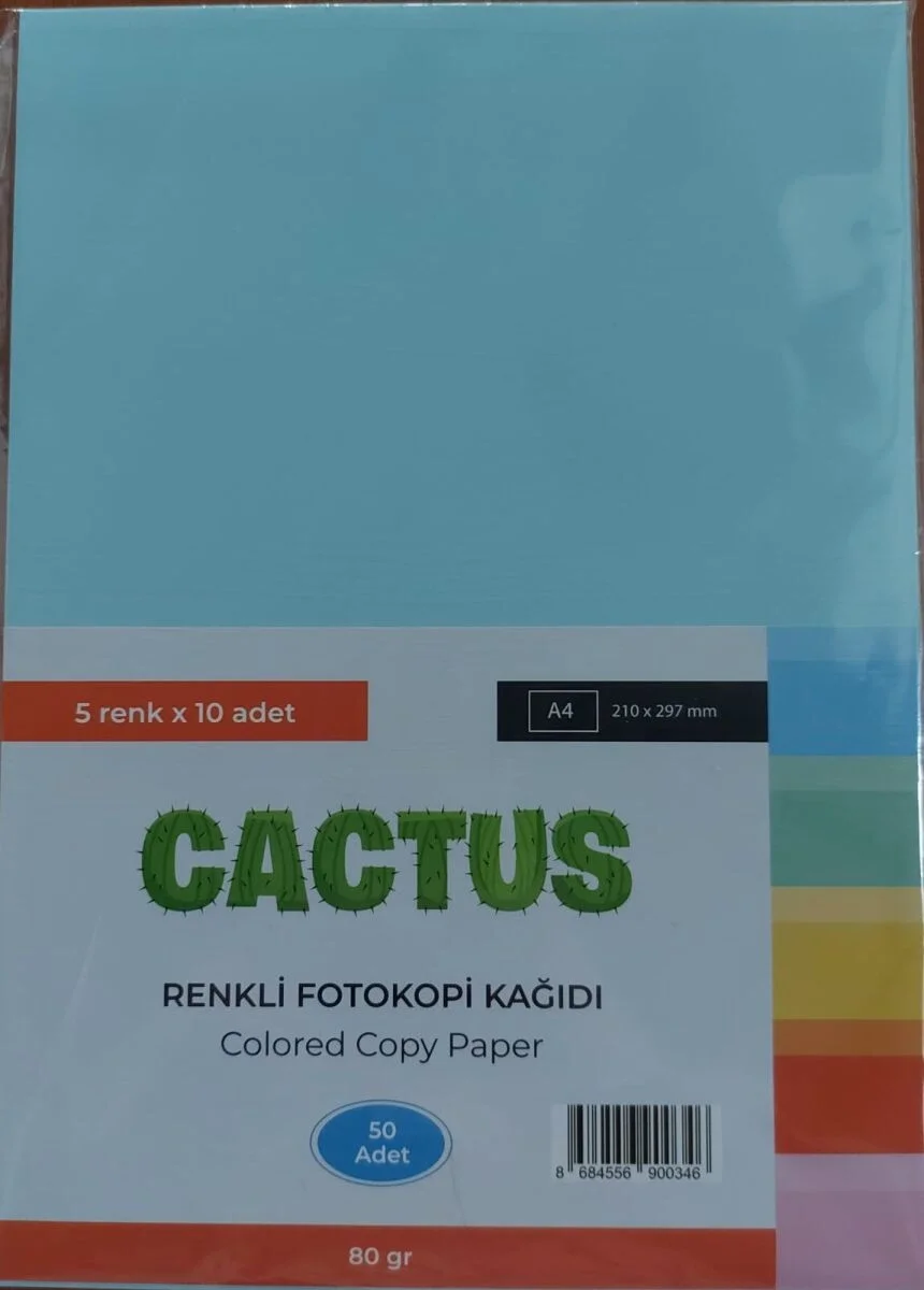 Cactus Fotokopi Kağıdı Renkli A4 80 gr. 50'li 5 Renk