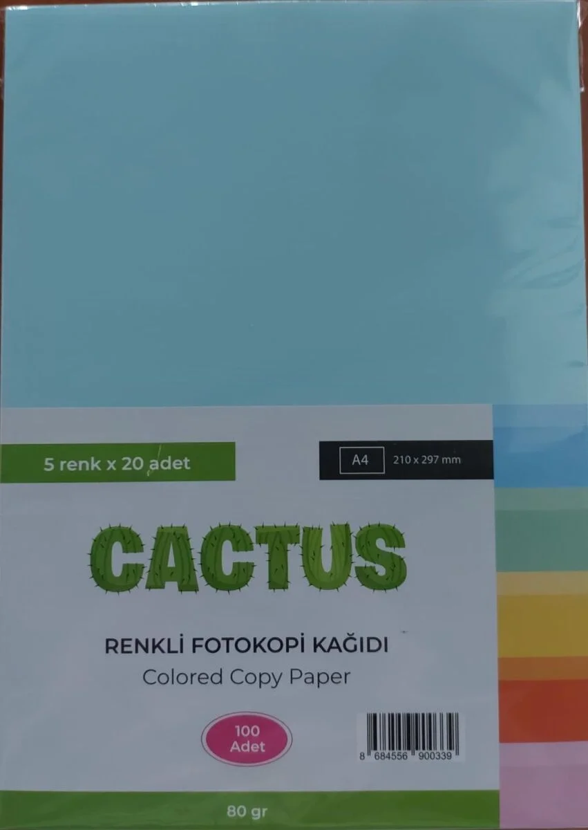 Cactus Fotokopi Kağıdı Renkli A4 80 Gr. 100'Lü 5 Renk