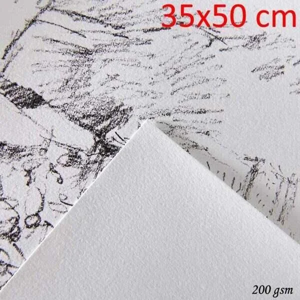Canson 1557 Resim Çizim Kağıdı 200 gr. 35x50 cm. 10'lu Paket