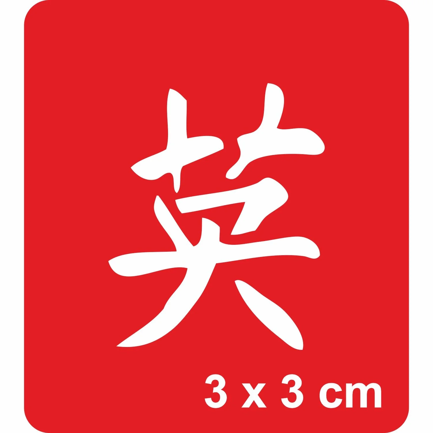 Sonsuzluk Kanji Tattoo Geçici Dövme Şablonları Kına Kalıpları