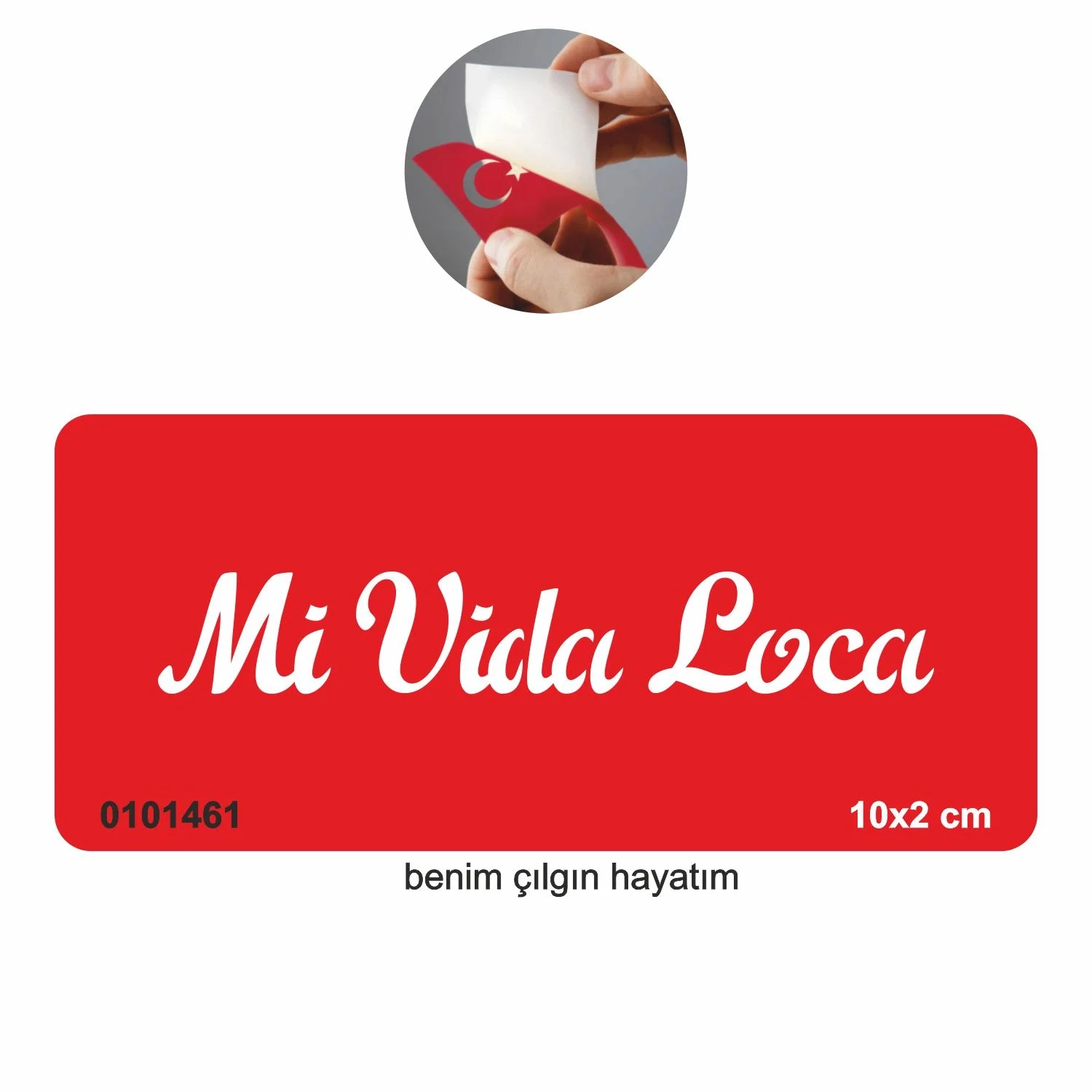 Benim Çılgın Hayatım(İspanyolca)  Tattoo Geçici Dövme Şablonları Kına Kalıpları