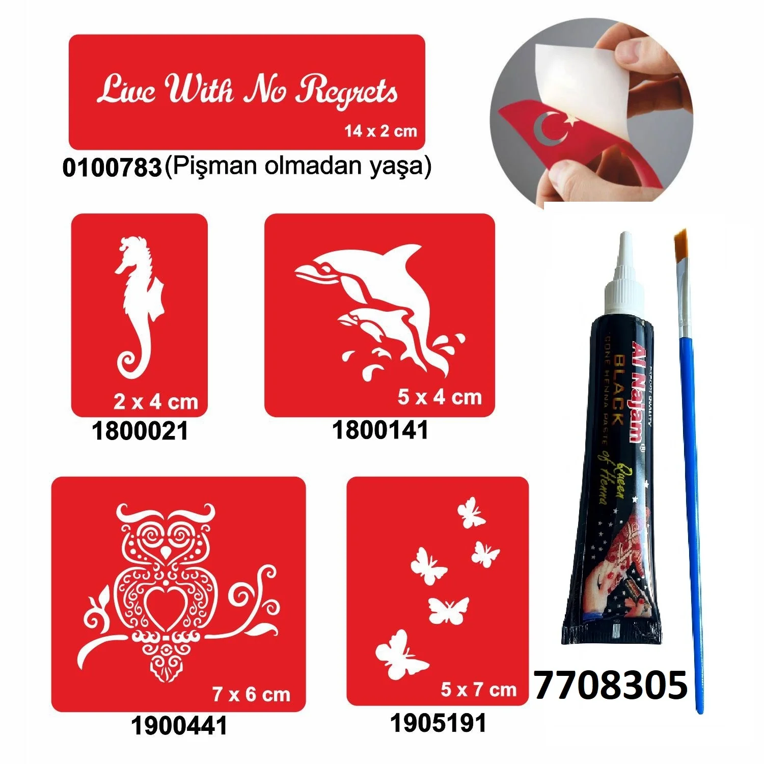 Kuş ve Balık Desenleri Hint Kınası ile Geçici Dövme Yapma Seti