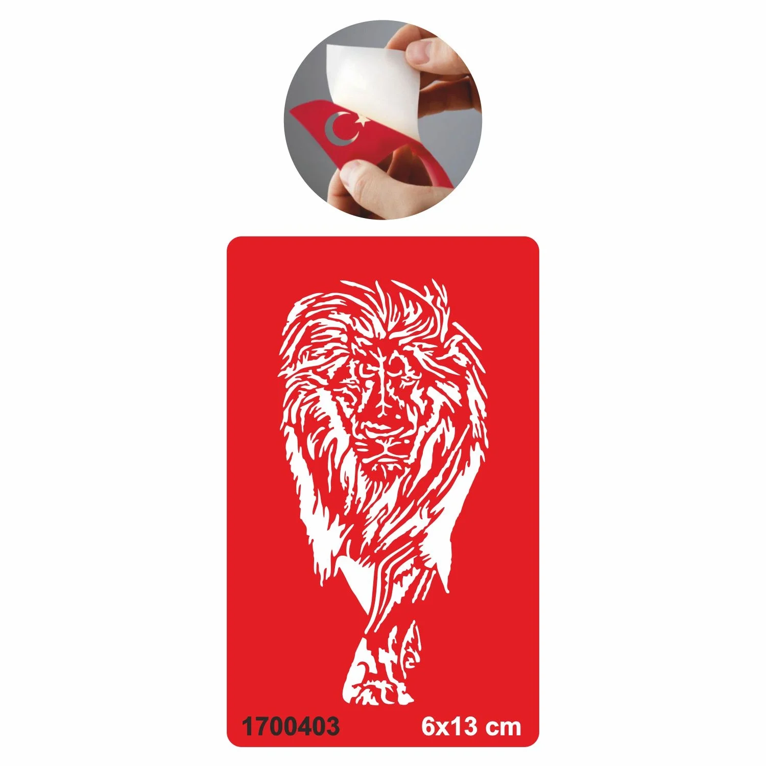 Asya Aslan  Tattoo Geçici Dövme Şablonları Kına Kalıpları